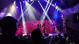 Toothgrinder - Diamonds for Gold 4K