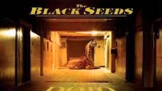 The Black Seeds - Give and Take