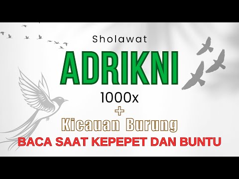 Sholawat Adrikni 1000x Tanpa Musik dan Suara Burung - BACA SAAT KEPEPET DAN BUNTU