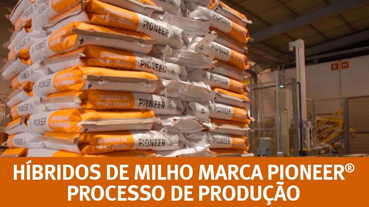 Híbridos de Milho marca Pioneer® - Processo de Produção