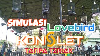 Download lagu Simulasi Lomba Lovebird Konslet tanpa teriak. Pancingan lovebird Jantan-Betina mp3 Download lagu Simulasi Lomba Lovebird Konslet tanpa teriak. Pancingan lovebird Jantan-Betina mp3