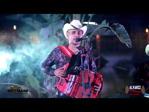 Los Novillos de la Sierra / El Gato y sus Felinos