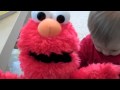Laughing Elmo With Carsten