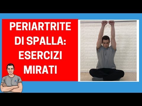Giunti di costruzione gatto Osteocondrosi questo video