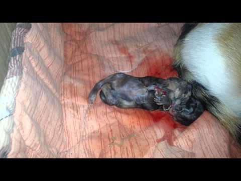 Dolore che si trova nel collo quando la testa naginayu Articolazioni delle spalle doloranti medicina tradizionale