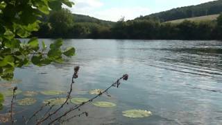 Je ne sais pas nager, vidéopoème