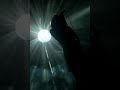 Hooverphonic - Sarangi (Live at Brussel Vlaams 2007)