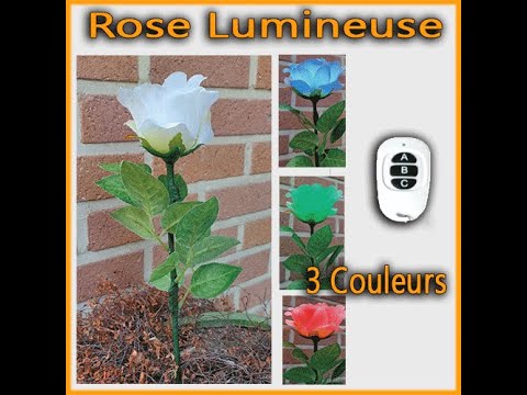 Voir la vidéo Rose Lumineuse 3 Couleurs - Télécommande