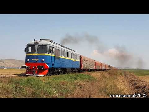 Interzis Gretei Thunberg ! AFUMĂTOAREA 60-1645-0 VIA TERRA SPEDITION