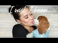 DINGE DIE ICH GERNE WUSSTE Bevor Ich Mir Einen Cavalier King Charles Zulegte