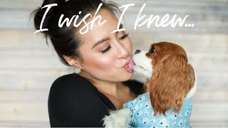 THINGS I WISH I KNEW | Before Getting a Cavalier King Charles