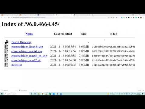 Automating Chrome with VBA