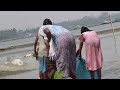 Fishing Video Village Girl Is Fishing In The River With Using Net Best Net Fishing