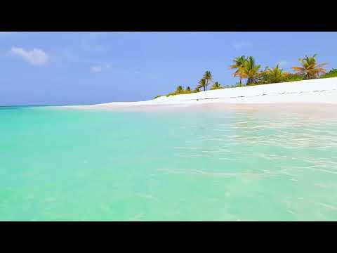 Sleep By The Sea All Night With The Full Moon And Relaxing Sparkling Waves on Zavival Beach, 11 Hrs