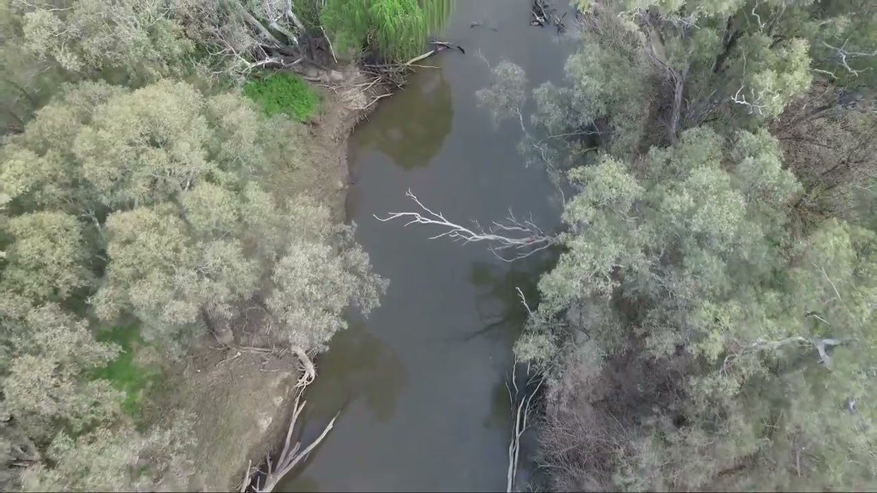 img-video