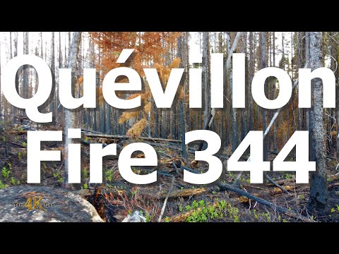 Québec: Archive clip 12 of "Quévillon Fire 344" biggest in province history - July 2023