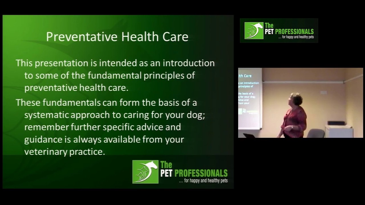 Preventative Healthcare for dogs clip