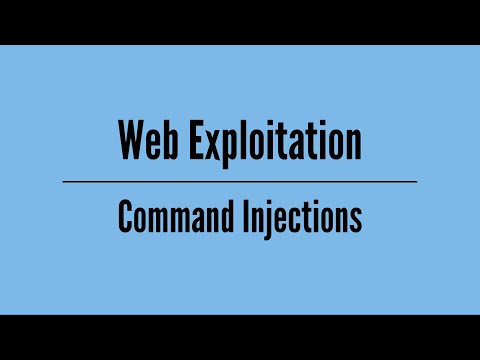 Introduction to Web Exploitation