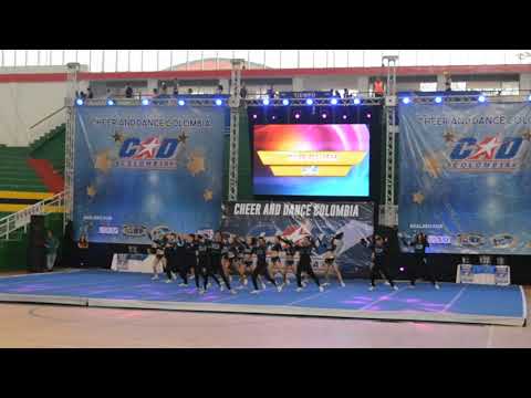 ELITE FAME ALL STARS N4 MEDIUM - CHEER AND DANCE