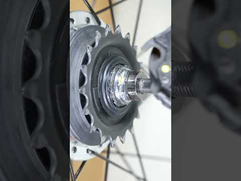 A Cassette Joint Installation Guide for Shimano Nexus  #cyclingtips #bikemaintenance #bikerepair