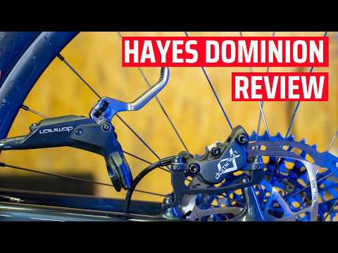 Hayes Dominion A4 Brakes Review After 6 Months of HEAVY Use!