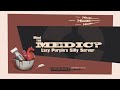 Meet The Medic Reenacted By Lazy Purple S Silly Server