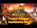 World of Warcraft: Редкие питомцы Серебряного Бора. Кого приручить охотнику ...