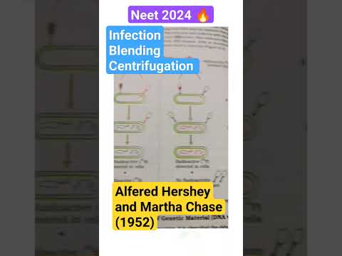Hershey and Chase experiment | dna unequivocal proof #neet #neettarget2024 #biology #pcb