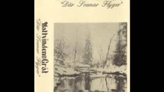 Nattvindens Gråt - En Avlagsen Stjarna