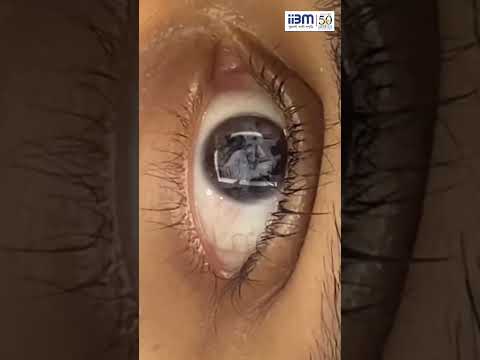 A glimpse of Full day Hackathon conducted at IIBM Patna.