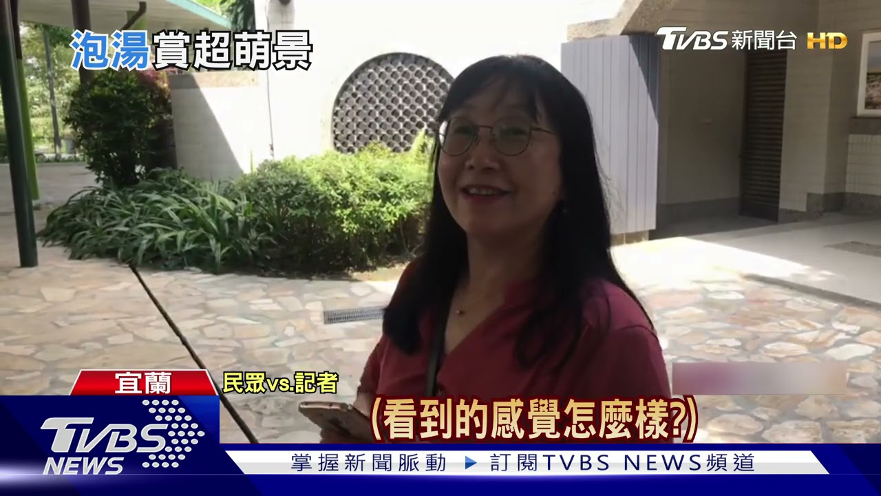 萌翻天!29隻幾米兔提行李、泡溫泉 宜蘭礁溪「新打卡熱點」