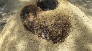 HOW TO MAKE A CARBONIZED RICE HULL/ THE EASY WAY