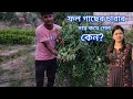 নতুন ভ্যারাইটির ফল গাছের চারা এসেছে sadia nursery 2023