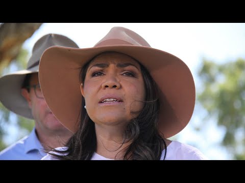 ‘I’m disappointed’: Jacinta Nampijinpa Price speaks out following demotion