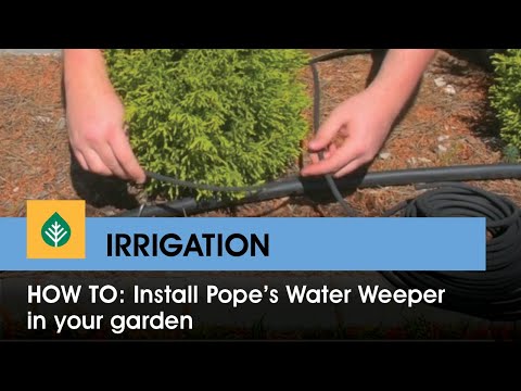 How to: Install Pope's Water Weeper in your garden