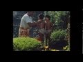 Paa Nilaavilae Pavizha Butterflies 1993