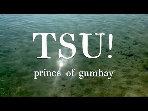 TSU! - Prince of Gumbay