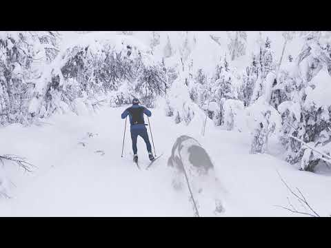 Cross country skiing at Gålå, Norway.