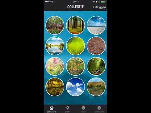 Perfect Earth Animals Video