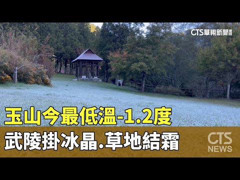 玉山今最低溫-1.2度　武陵掛冰晶.草地結霜