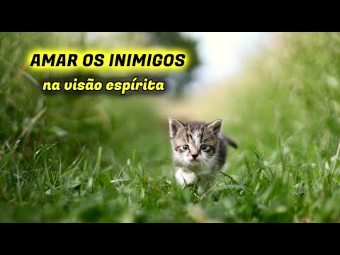 AMAR OS INIMIGOS na visão espírita | O Evangelho Segundo o Espiritismo de Allan Kardec