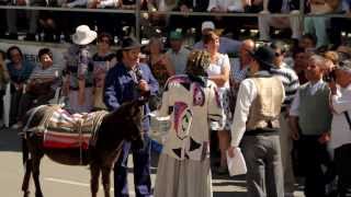 preview picture of video 'Festa da Espiga de Salir Concelho de Loulé em 2013'