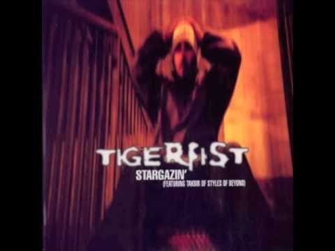 Tigerfist-Stargazin' Instrumental
