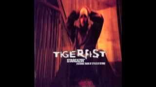 Tigerfist-Stargazin' Instrumental