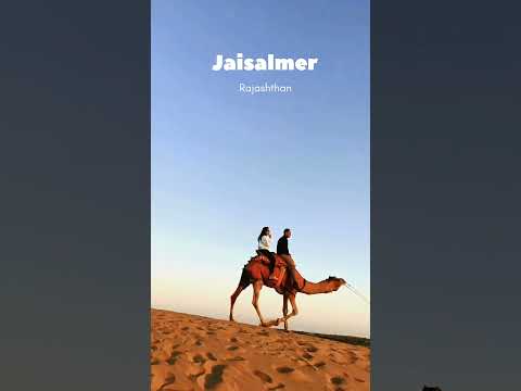 Jaisalmer camel ride 🐫 #youtubeshorts #camelride #jaishreeram #thardesert #samdunes