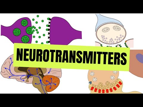 Neurotransmitters