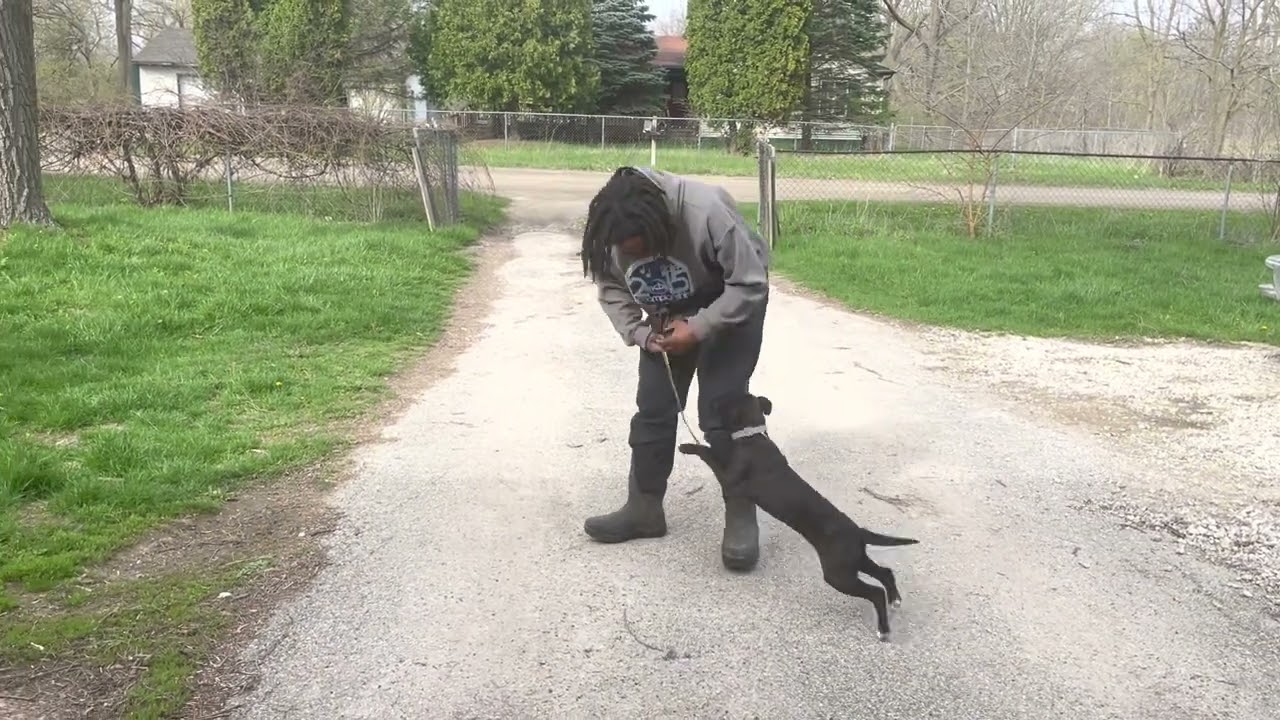 Opal training overview