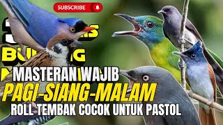 Download lagu MATERI TERTATA RAPI!! Masteran Roll Tembakan Kasarr - SEKALI MASUK LANGSUNG MEWAHH BANGET mp3 Download lagu MATERI TERTATA RAPI!! Masteran Roll Tembakan Kasarr - SEKALI MASUK LANGSUNG MEWAHH BANGET mp3