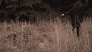 Patrick Wolf - Ghost Song(test)