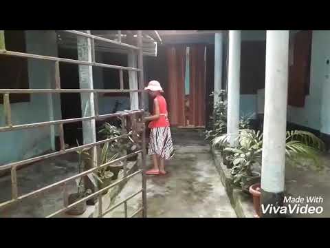 কৃষি বাতায়ন